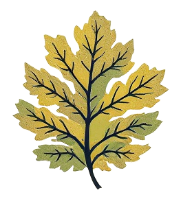 Leaf